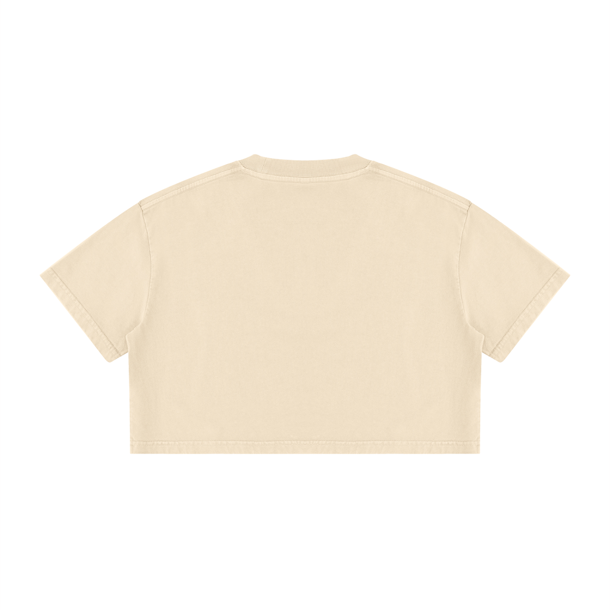 Crop Tee Délavé Minéral