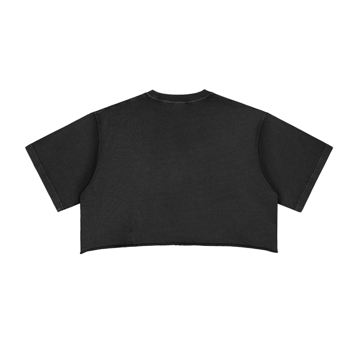 Crop Tee Bords Francs Délavé Neige